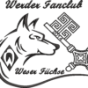 Bundle 1: Hoodie bestickt, T-Shirt bedruckt