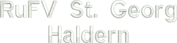 Druck_Ruecken Polo UniSex S - 3XL mit 2 x Druck in Stickoptik